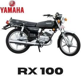 RX 100/RX 110
